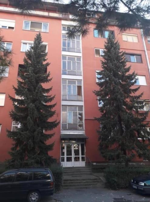 Apartman Nadja Zemun Rom bilde